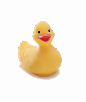 ducky.JPG (8333 bytes)
